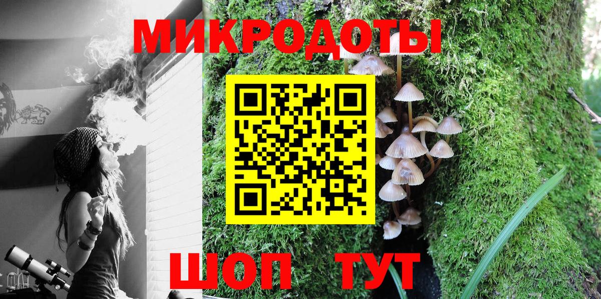 Псилоцибиновые грибы мицелий Мыски